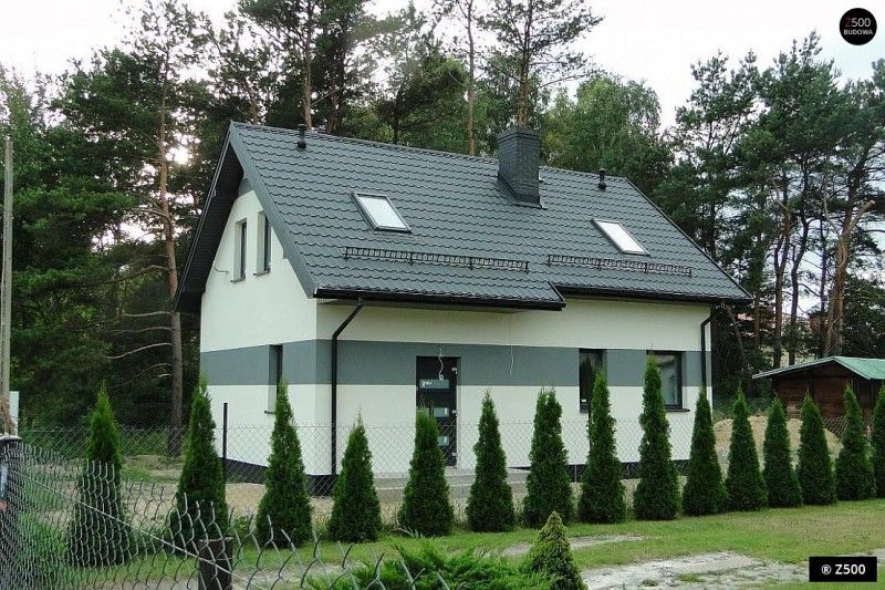 Идеальный проект дачного домика, какой он?, фото 4