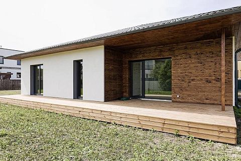 картинка Z368 D 