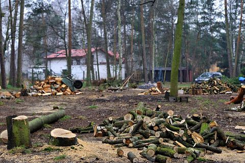 картинка Z20 