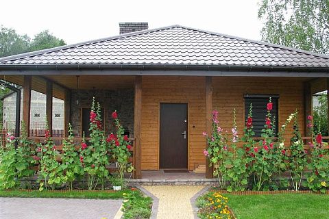 картинка Z16 