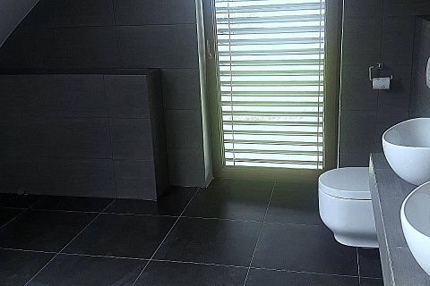 картинка Z226 