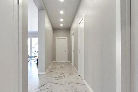 картинка Z443 