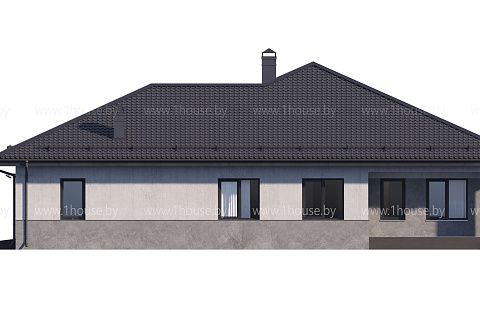 картинка ZH50 