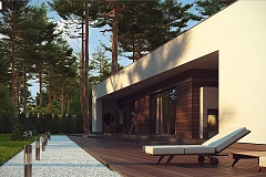 Современный одноэтажный дом с боковой террасой