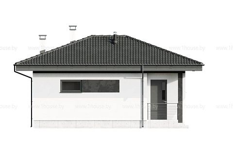 картинка ZS4 