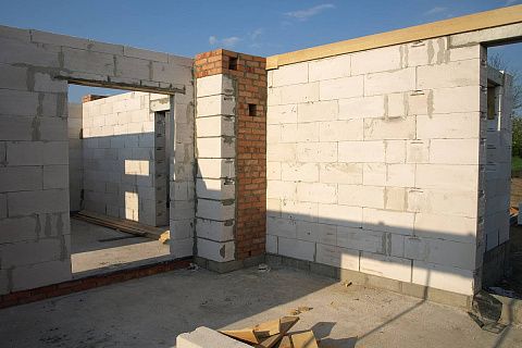 картинка Zx8 