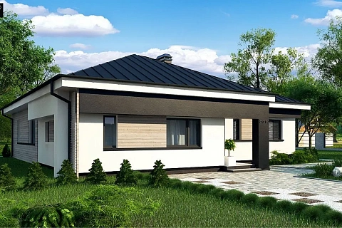 картинка Z200 BG v1 