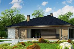 Компактный одноэтажный дом стильного дизайна