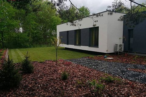 картинка Zx141 