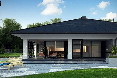 картинка Z378 P 