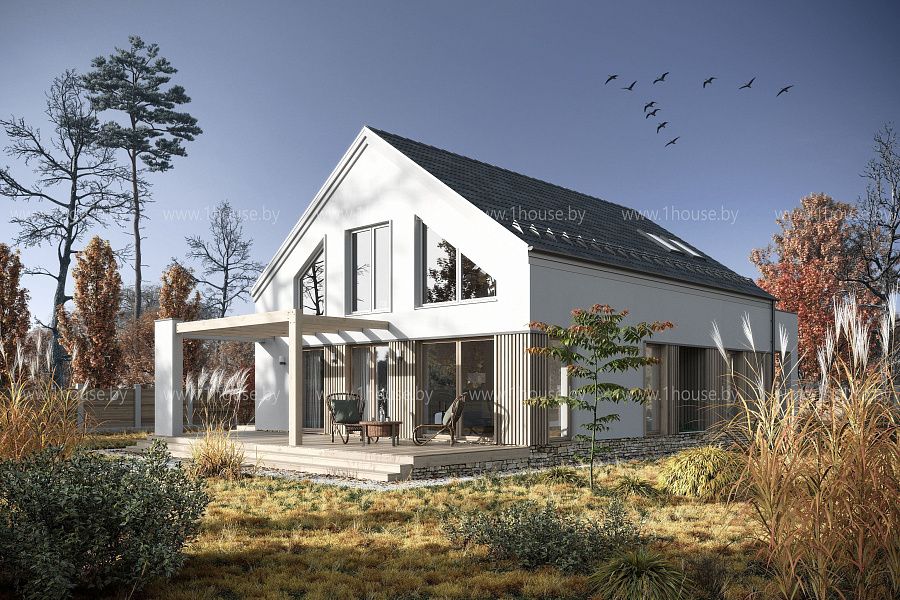 Дом в камышах, д. Задомля, Минский р-н