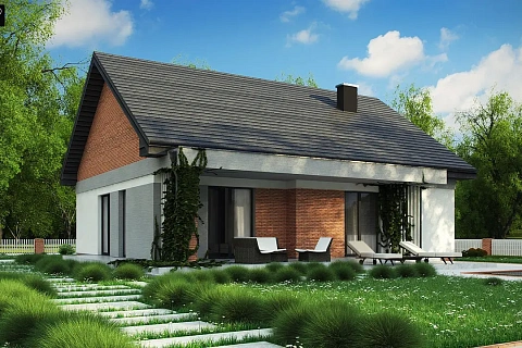 картинка Z316 