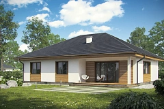 Комфортный одноэтажный дом традиционного дизайна.