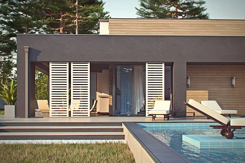 картинка Zx65 