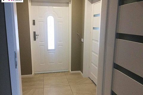 картинка Z241 