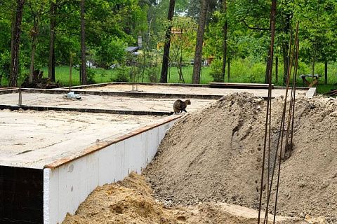 картинка Z20 