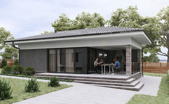 Баня с террасой и купелью. 