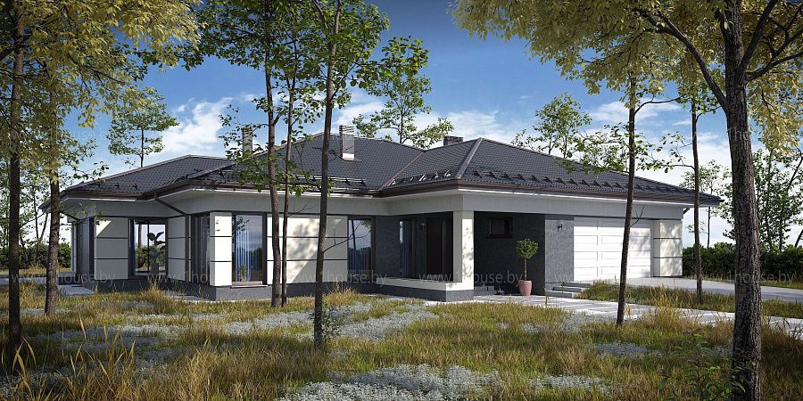 Одноэтажный дом с панорамаными окнами и строгим фасадом, д.Шубники