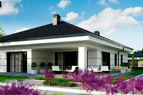 картинка Z443 v1 