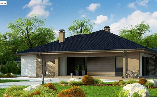 Компактный одноэтажный дом стильного дизайна