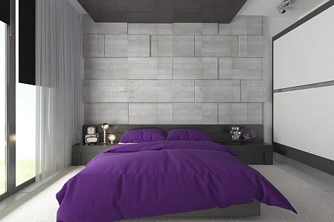 картинка Zx65 