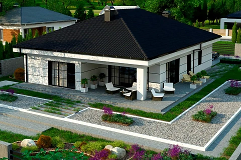 картинка Z443 v1 