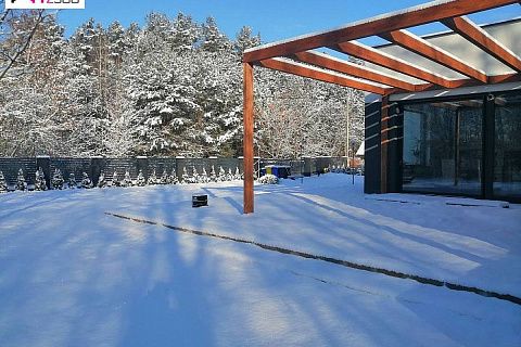 картинка Zx141 