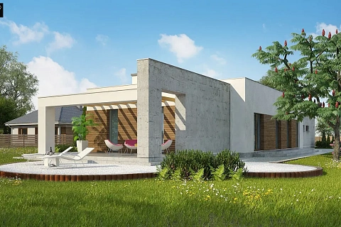 картинка Zx129 