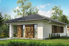 Одноэтажный функциональный дом для небольшой семьи