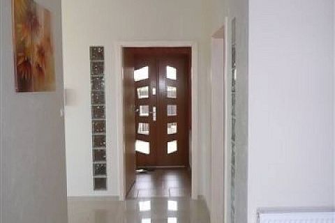 картинка Z31 