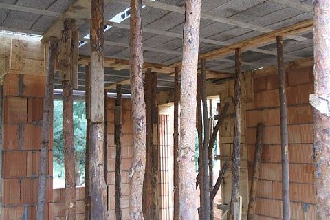 картинка Z171 