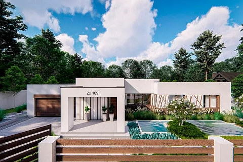 картинка Zx169 