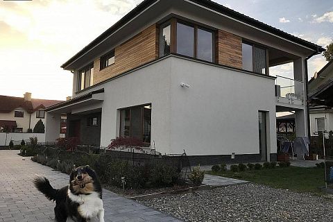 картинка Zx8 