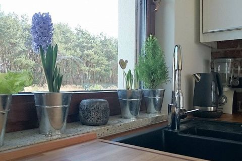 картинка Z216 