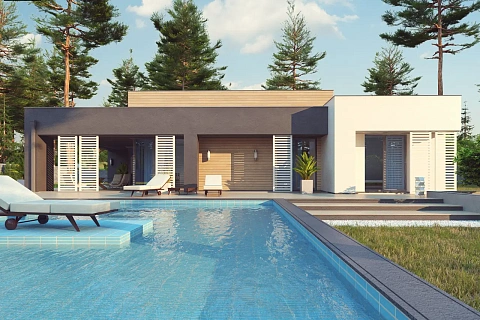 картинка Zx65 