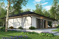 Аккуратный одноэтажный дом в традиционном стиле с продуманной планировкой