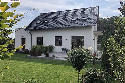 картинка Z216 GL 