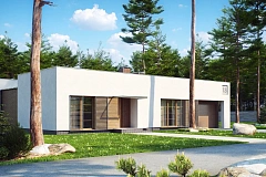 Одноэтажный дом с плоской крышей, со светлым функциональным интерьером и гаражом.