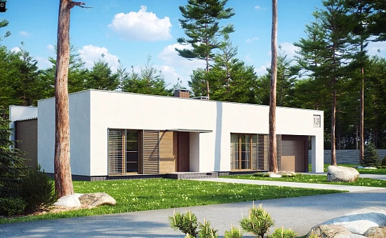 Одноэтажный дом с плоской крышей, со светлым функциональным интерьером и гаражом.