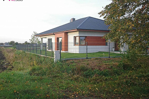 картинка Z281 