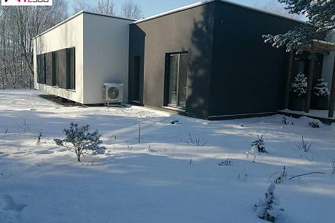 картинка Zx141 