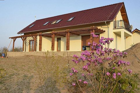 картинка Z184 