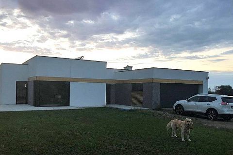 картинка Zx101 GP2 