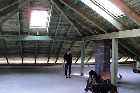 картинка Z207 