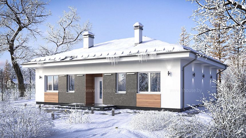 Одноэтажный дом с мастер-спальней.