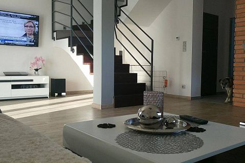 картинка Z119 