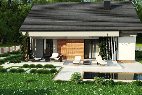 картинка Z316 