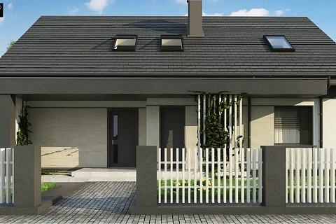 картинка Z316 P PK 