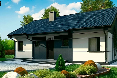 картинка Z454 v1 
