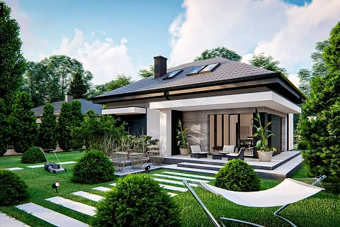 картинка Z479 